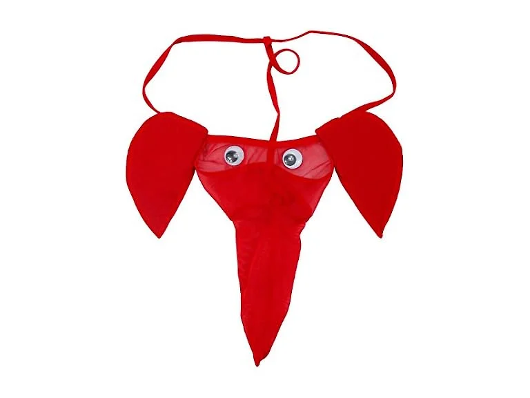 SYAYA Thongs for men, Sexy Lingerie Br