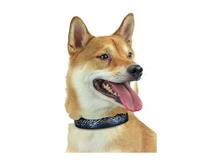 Zubaz NFL Team Adjustable Pet Collar for Cat