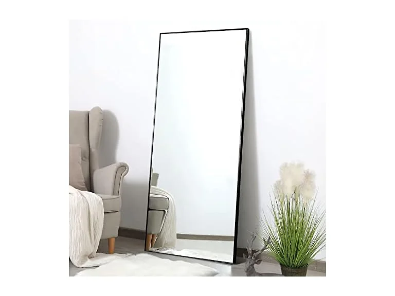 Poshions Full Length Mirror 65''x22''