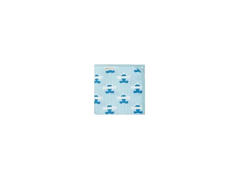 Baby Organic Always Blanket, Airplane Adventure