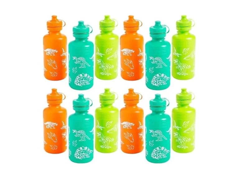 Dinosaur Plastic Water Bottles - 18 oz. (Pack of 12)
