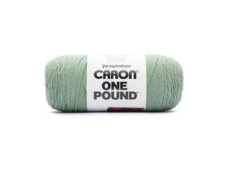 Spinrite Caron One Pound Yarn-Succulent