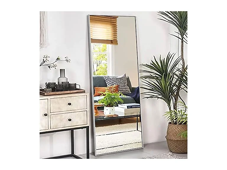 NeuType Mirror Full Length, 64"x22"
