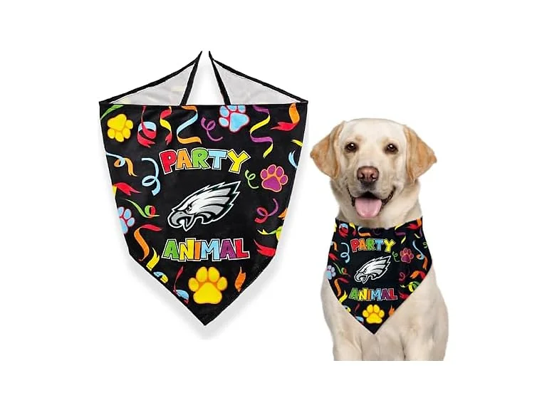 NFL Philadelphia Eagles Pet Birthday Bandana, Large/X-Large