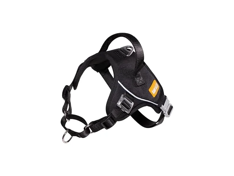 DF No Pull Martingale Dog Harness and Leash
