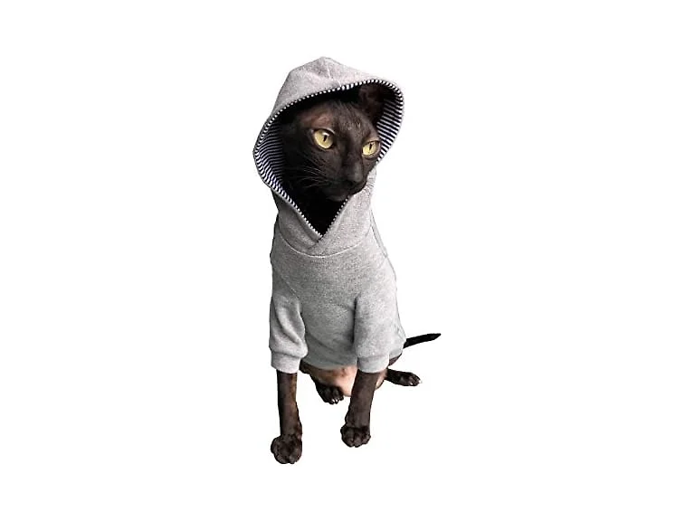 Sphynx Cat's Hoodie Ingrey Naked Cat Hairles