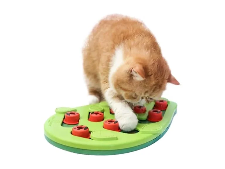 RXJPASD Cat Treat Puzzle and Scratch Board Combo Toy