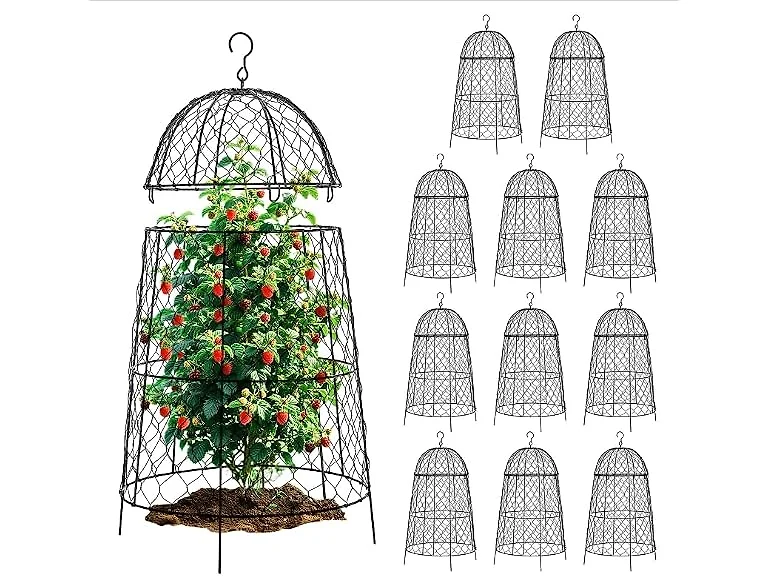 DFJFIFF 12Pcs Garden Cloche