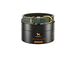 NOAH & PAW CR-LE-GR-M M NOAH & PAW Dog Collar Green