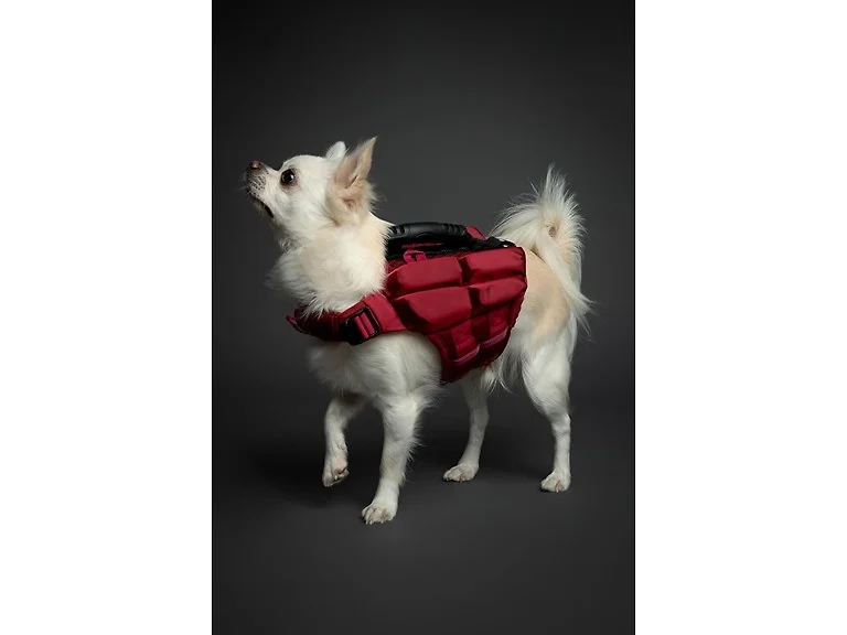 NOAH & PAW Dog Life Jacket- XSmall