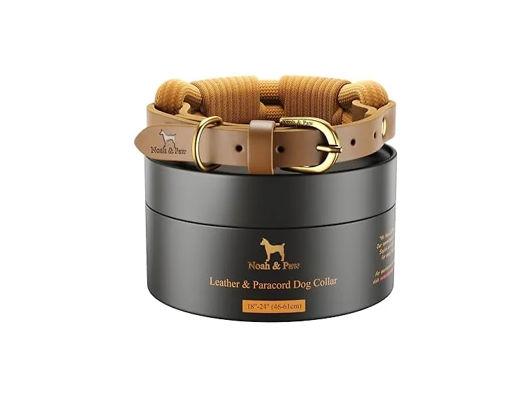 NOAH & PAW Dog Collar, Genuine Leather with Paracord