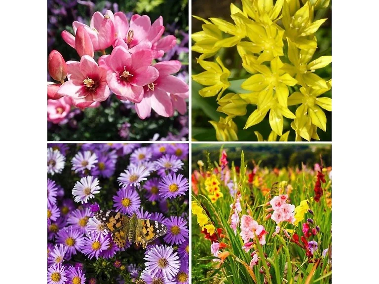 Bees & Butterfly Collection (100 Bulbs)
