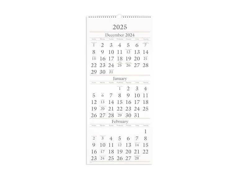 AT-A-GLANCE AT-A-GLANCE 2025 Wall Calendar