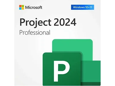 Microsoft Project Professional 2024