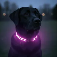 Tractive Tractive LED Light Up Dog Collar USB Rec