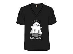 This is Boosheet