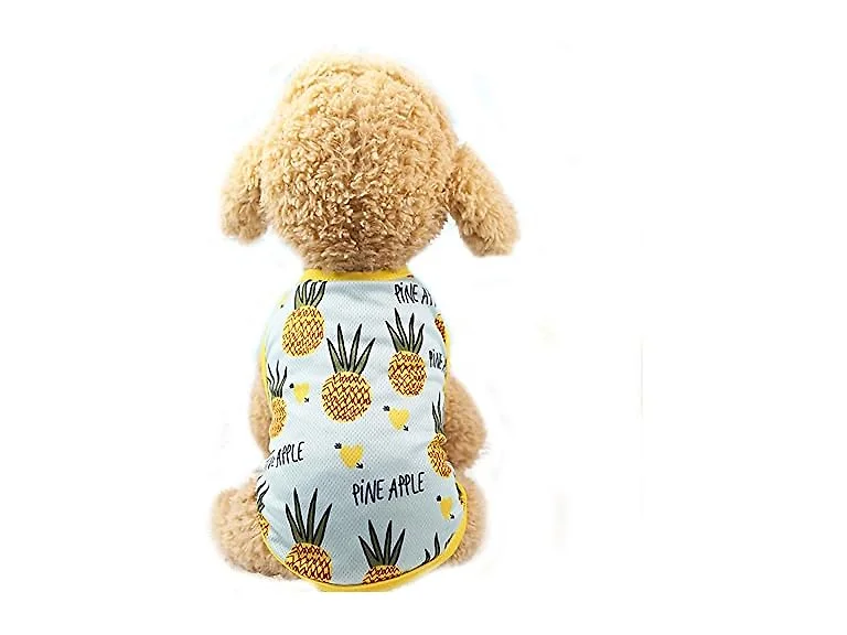 Pet Clothes,Lovely Summer Fruit Dog T-Shirt P