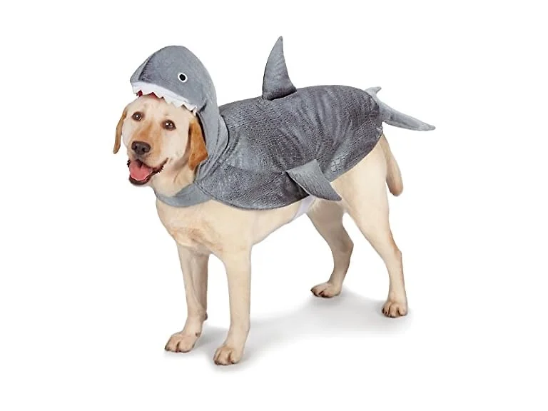 Casual Canine Gray Shark Costume for Dogs, XS