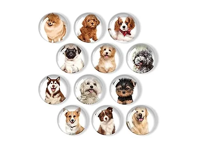 12Pcs Glass Refrigerator Magnet Décor