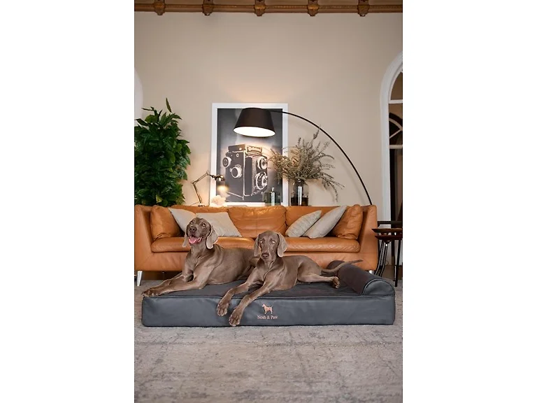 NOAH & PAW Orthopedic Dog Beds- XXLarge