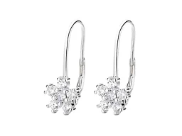 Amy and Annette DAAS-DEBS6073 One Size Lever Back Earrings S
