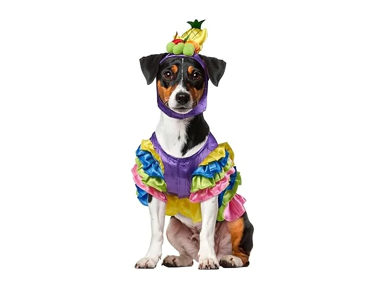 Rubies Brazilian Bombshell Pet Costume Medium