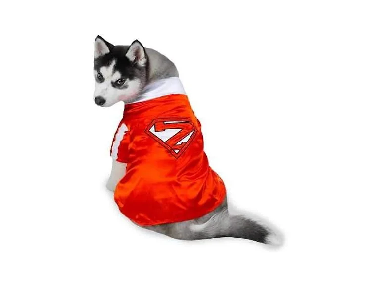Casual Canine Mighty Mutt Pet Costume Small