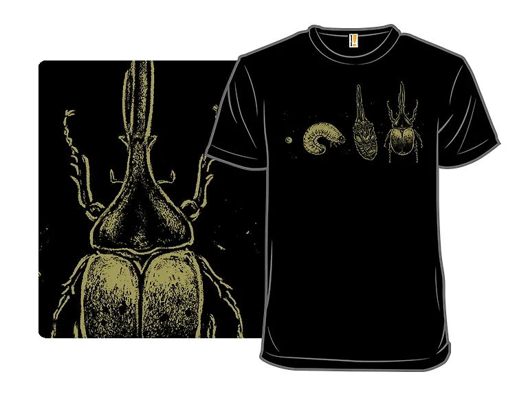 Beetle Life Cycle
