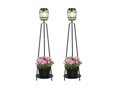 TOWPONICS Solar Outdoor Lights