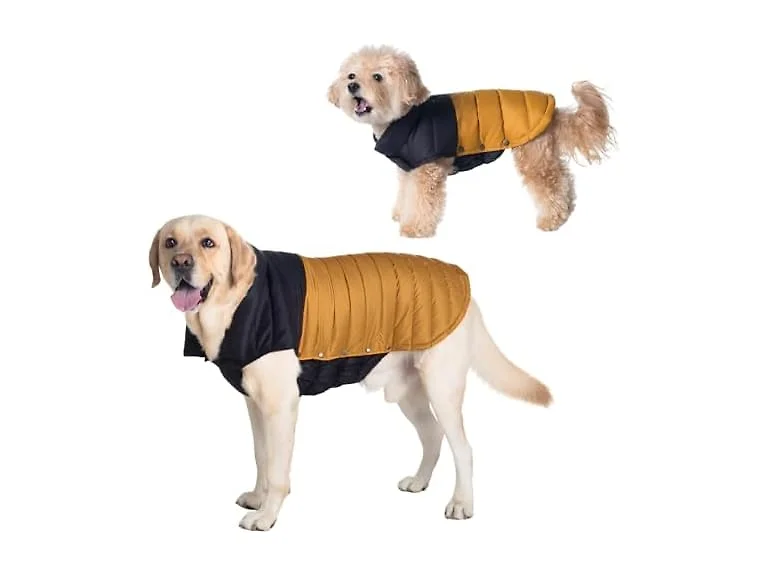 SPACE LION Dog Puffer Jacket