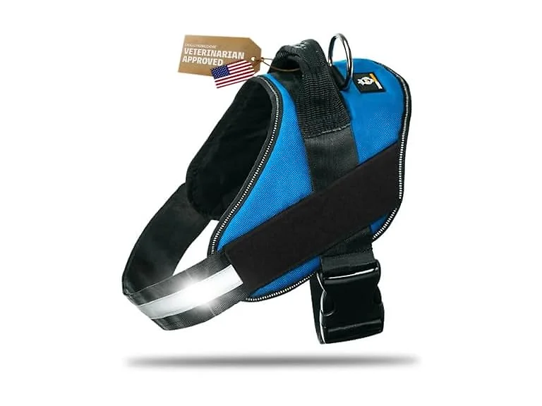 DOGGYKINGDOM No Choke Dog Harness with Handl