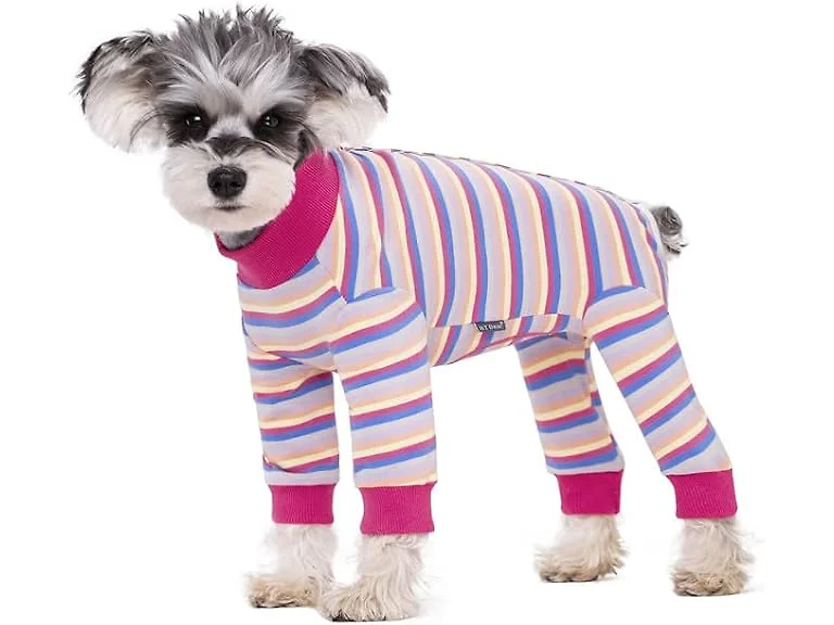 Dog Surgery Recovery Suit for Small Dogs, 4-