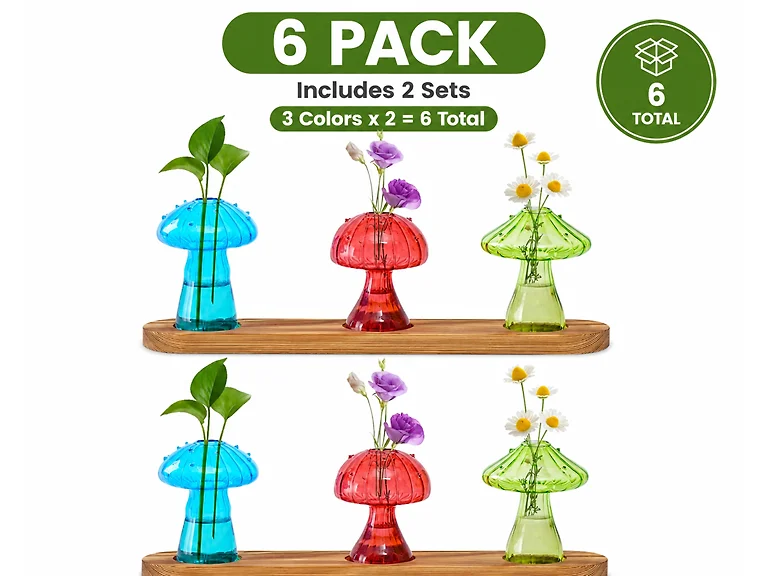 6 Pack Mushroom Glass Propagation Vases