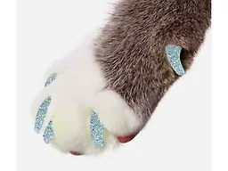 Purrdy Paws PURRDY Paws Soft CAT Nail CAPS, Small