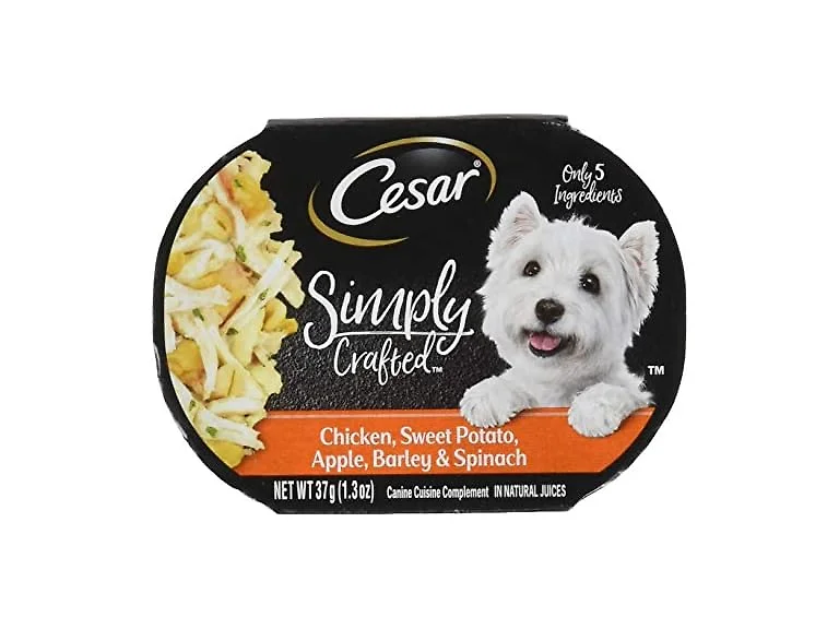 Cesar Simply Crafted CHC SWT PT APLBRLSPN Wet