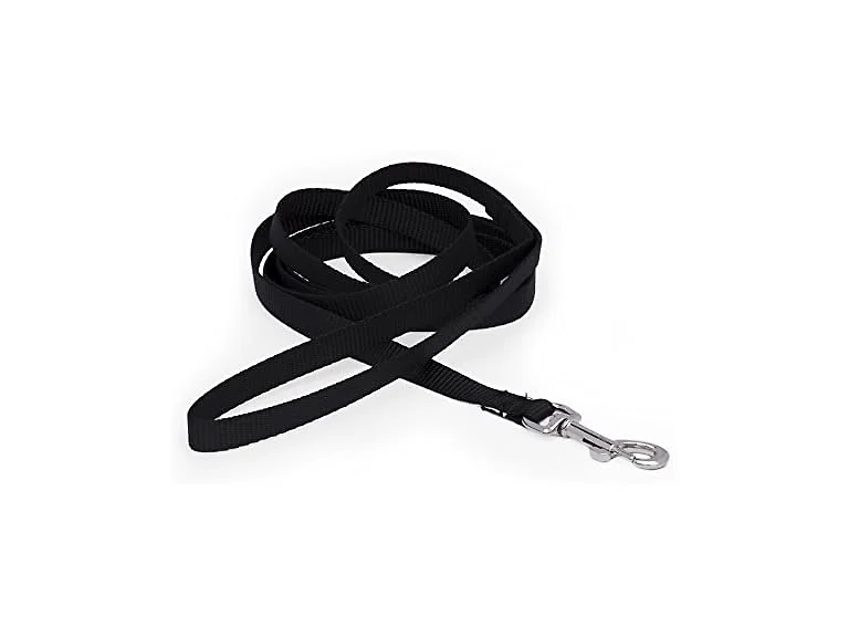Pet Champion Basic 4' Leash, Black
