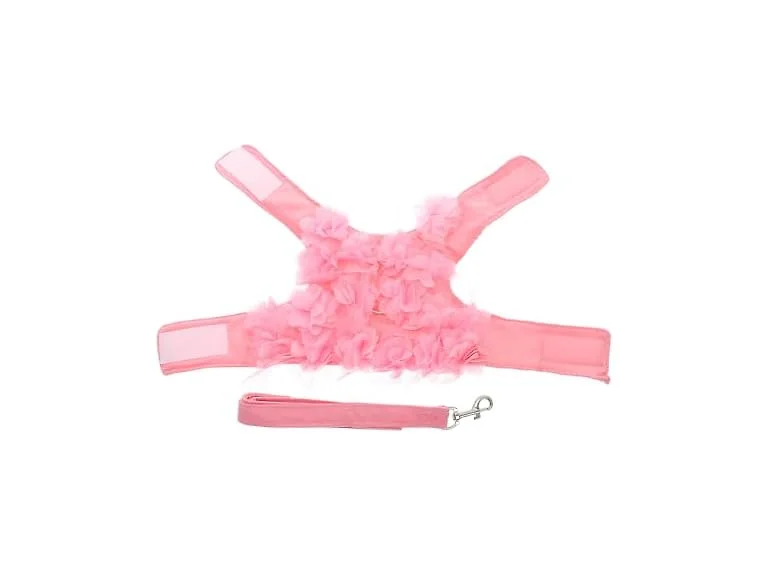POPETPOP Dog Leash and Harness for Girls,Cut