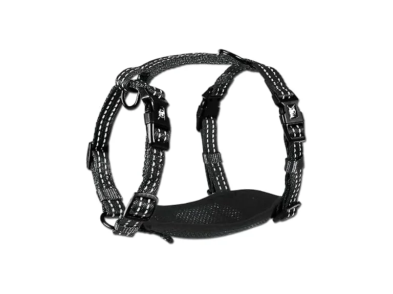 flexi Alcott Essentials Adventure Pet Harness