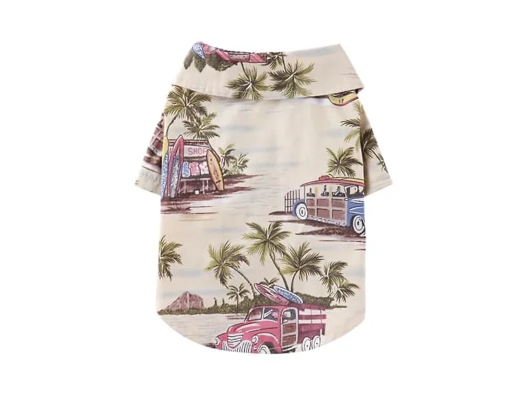 Tangpan Summer Pet Daisy Hawaiian Beach Plai
