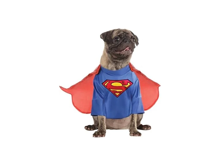 DC Comics Superheroes: Superman Pet Costume