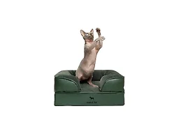 NOAH & PAW SO-LE-GR-S S NOAH & PAW Dog Bed - Sofa Gr