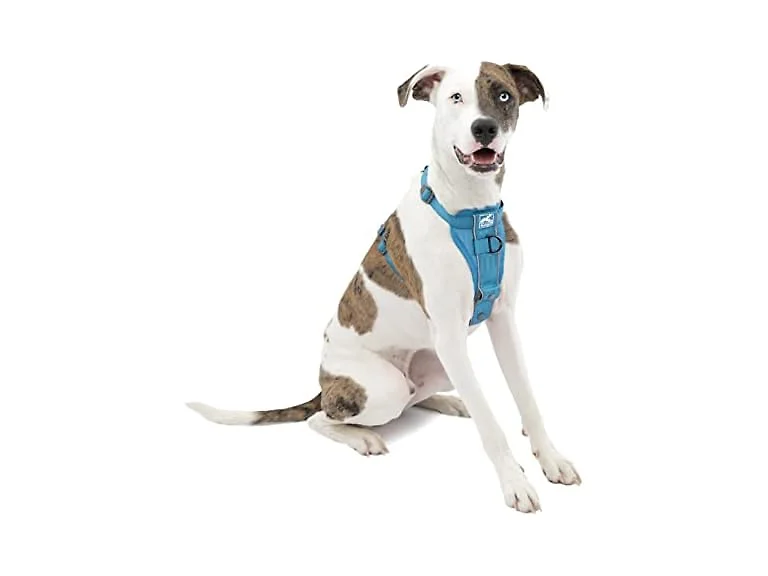Kurgo Tru-Fit Smart Dog Walking Harness