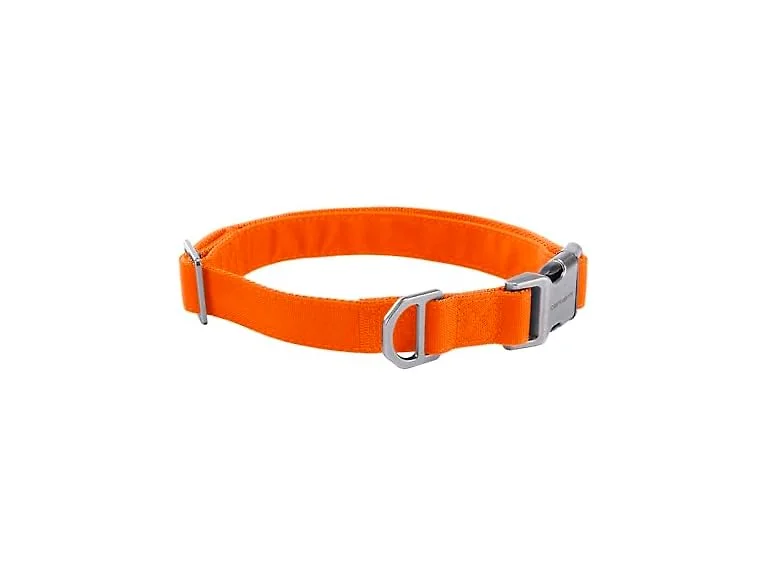 Carhartt Field Dog Collar, Fully Adjustable, Orange, Large