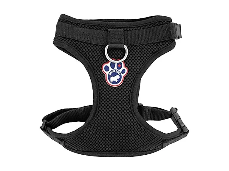 Canada Pooch Everything Dog Harness Black Mesh Medium