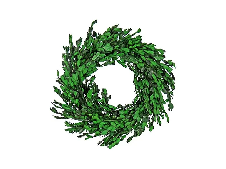 National Tree Company Boxwood Branches