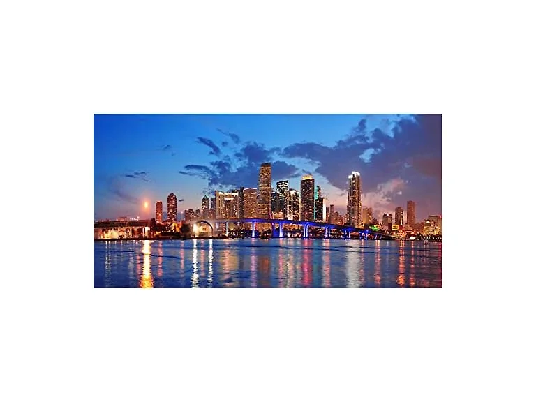 DORCEV 20x10ft Miami Florida City Night