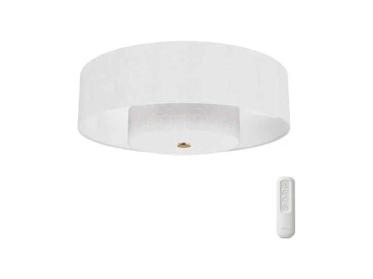 Hunter Fan 30 inch Matte Black - Indoor Fandelier