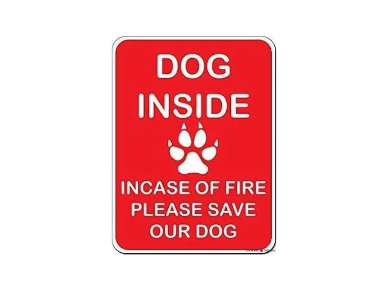 Indication Warning Sign Dog Inside Incase of 