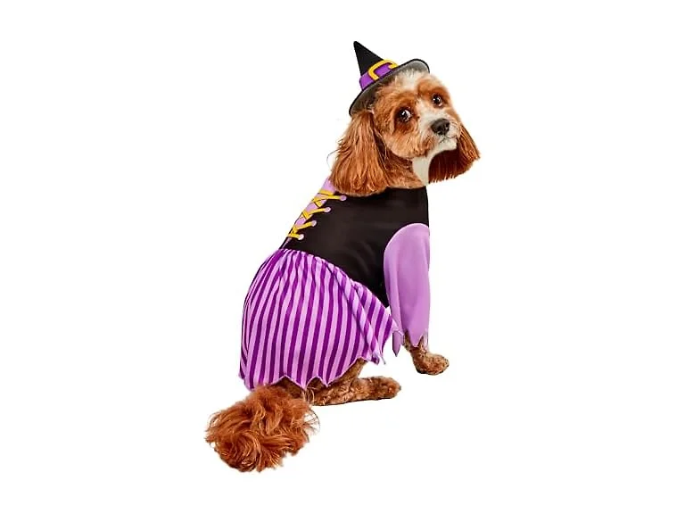 Rubies Witch Pet Costume for Dogs or Cats, La