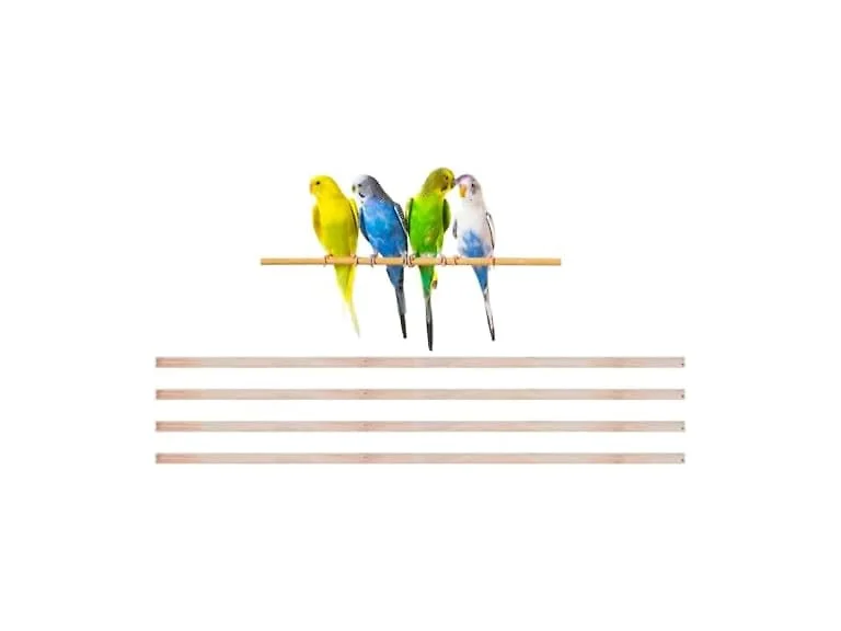 New Natural Wood Perches for Bird Cage, Many 